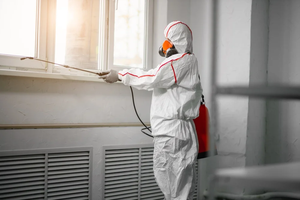Professional mold remediation services in Osceola, IN